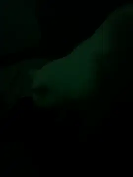 ryan9449 Show Live Cam Tình Dục