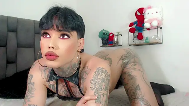 little_star_porn 라이브 섹스 캠 쇼