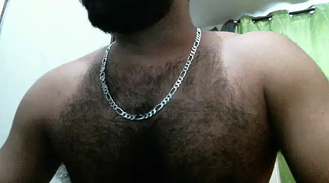 indianhairybull Live Webcam on Stripchat