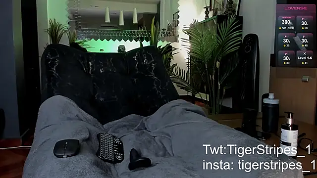 tigerstripes1_ - TigerStripes1_'s free webcam - UK Sex Cams