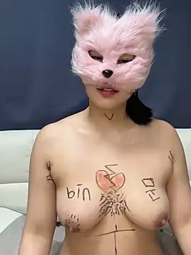 Kor_Cat