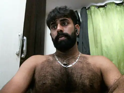 Indianhairybull