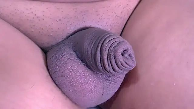 Cata_smallcock_