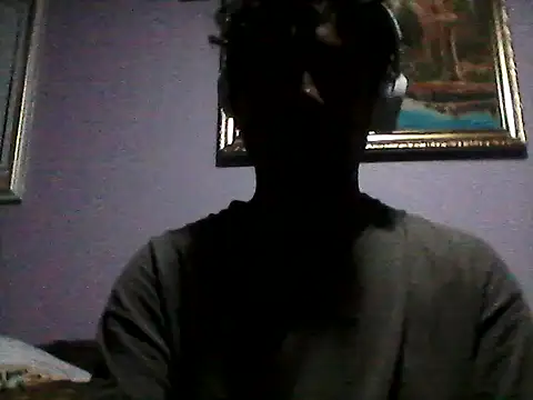 abianes webcam