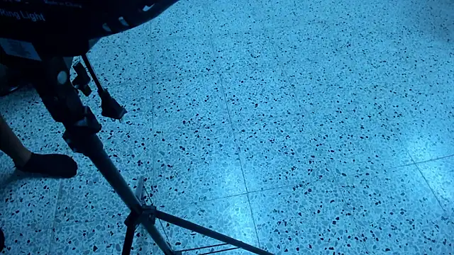 katty_adamans Live Sex Cams