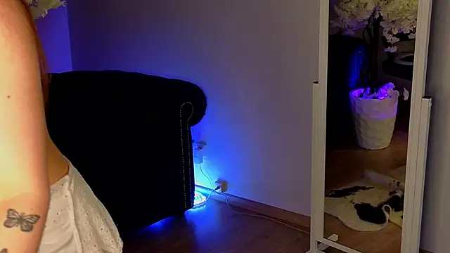 WildVibe Live Sex Cams