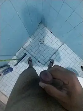 Novinhoamacoroas1002