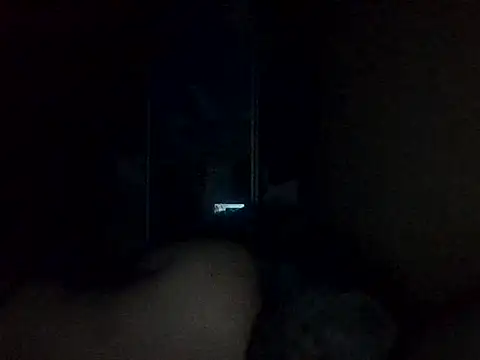 Art_Ass webcam