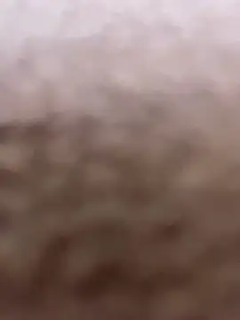 darle_volant Live Sex Cams