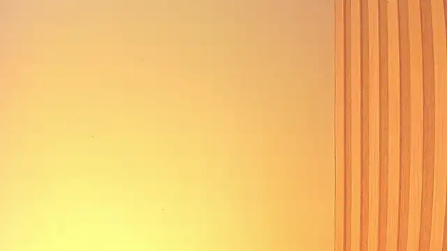elizabethromanのウェブカメラショー