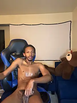 MJThirdLeg's Webcam Show