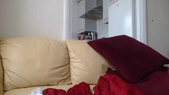 traedick's Webcam Show