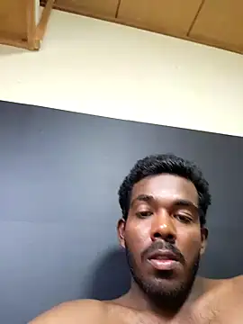 Shehanameeshe