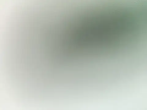 lilpervt's Webcam Show