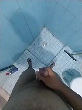 Novinhoamacoroas1002