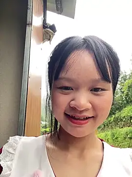 Linyi811