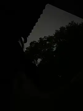 美女jx1314在线直播