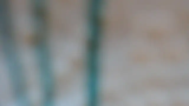 RobertaFox69 webcam