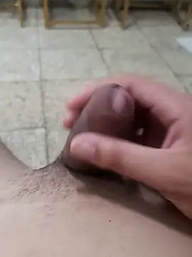 hotroommates' Webcam Show