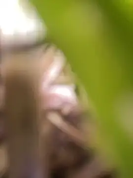 skarrrlettt's Webcam Show