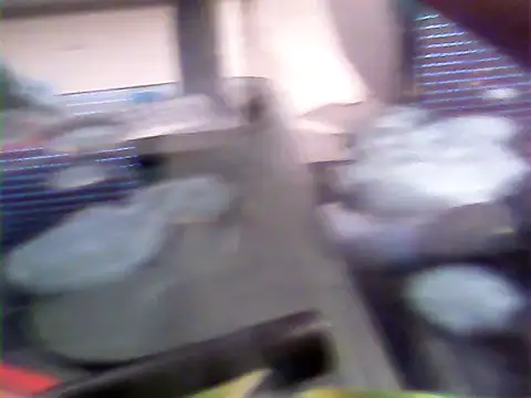 Barloo's Webcam Show