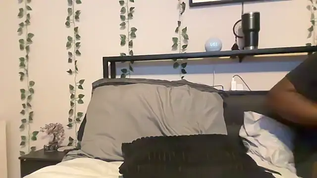 Stellabunnyy's Webcam Show