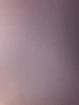 MandyWester Live Sex Cams