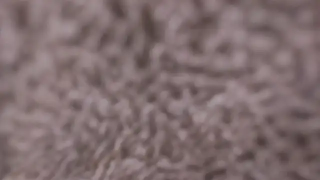 Sara_Kurt Live Sex Cams
