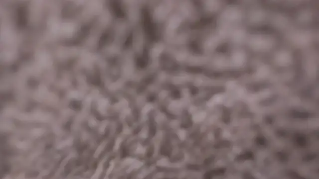 Sara_Kurt Live Sex Cams