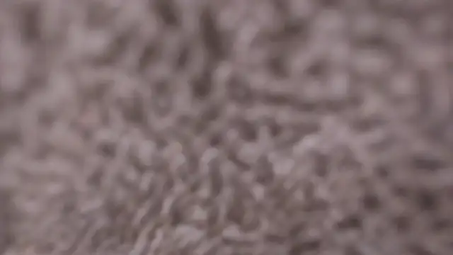 Sara_Kurt Live Sex Cams