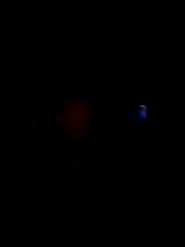 Hungwell1515's Live Sex Cam Show