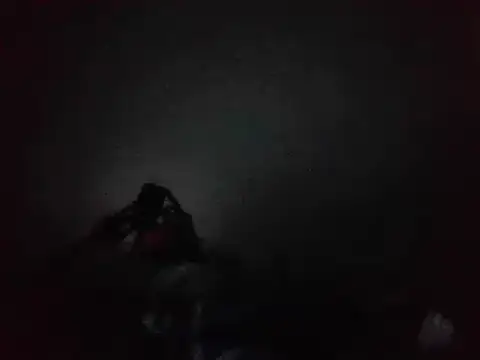 willbustforu's Webcam Show
