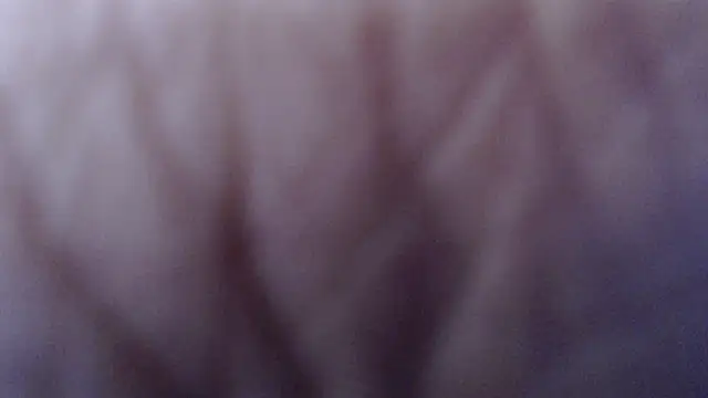 WandaMilf_ Live Sex Cams