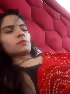 nehathapa webcam