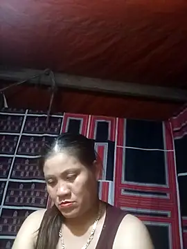 muisiet webcam