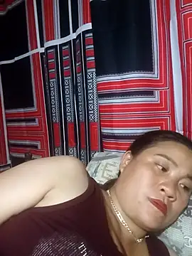 muisiet webcam