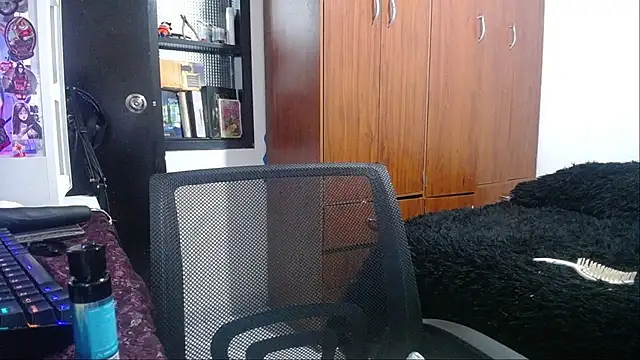 esjrobles webcam