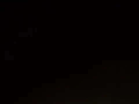 traper_1 webcam