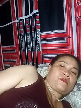 muisiet webcam