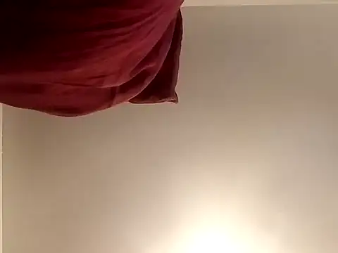 gemini12838 webcam