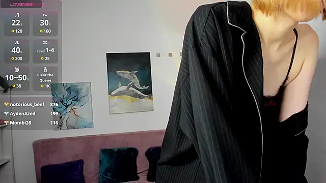 Linapuff webcam