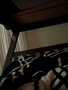 Brickstash webcam