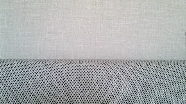 Kashtanka_ webcam
