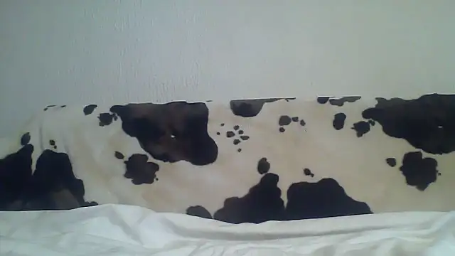 Zgodanilep webcam