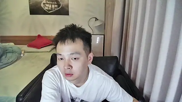 Y-AIAI webcam