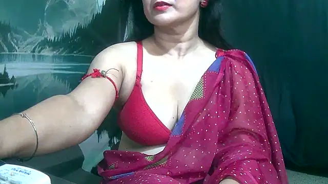 MISTI_KOL webcam