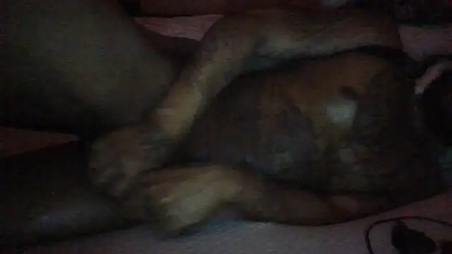 SynnCereBF-ENERGY69 webcam