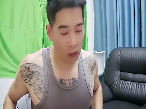 saigege webcam