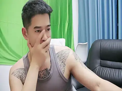 saigege webcam