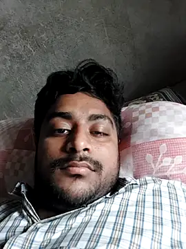 lm12334 webcam
